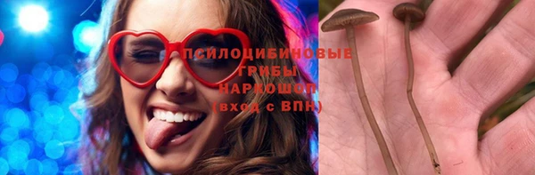 spice Алексеевка