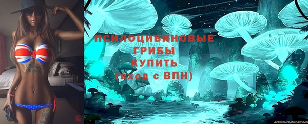 хмурый Саяногорск