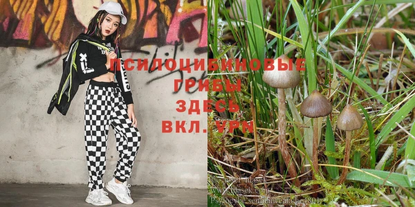 кокаин Абаза