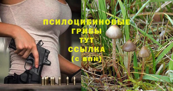 марки lsd Алзамай