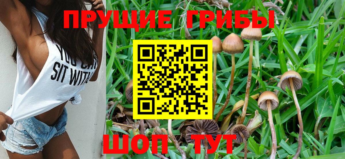 Псилоцибиновые грибы Magic Shrooms  Вход с VPN  Искитим 