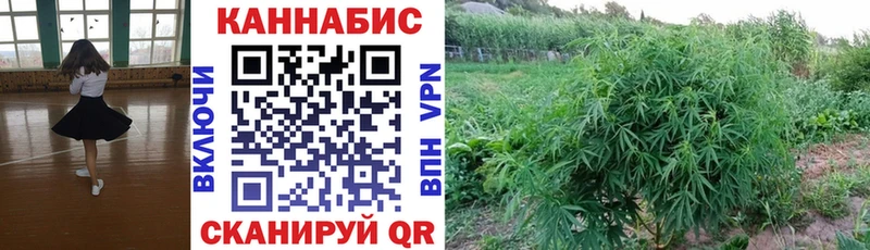 дарк нет наркотические препараты Искитим МАРИХУАНА сатива